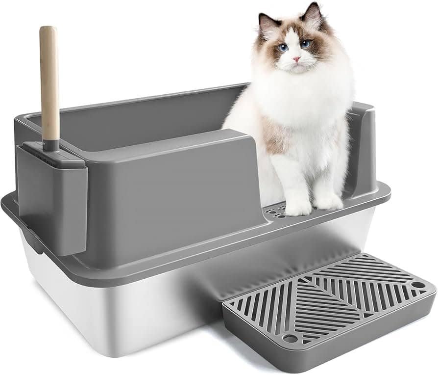 best litter box for ragdoll cats